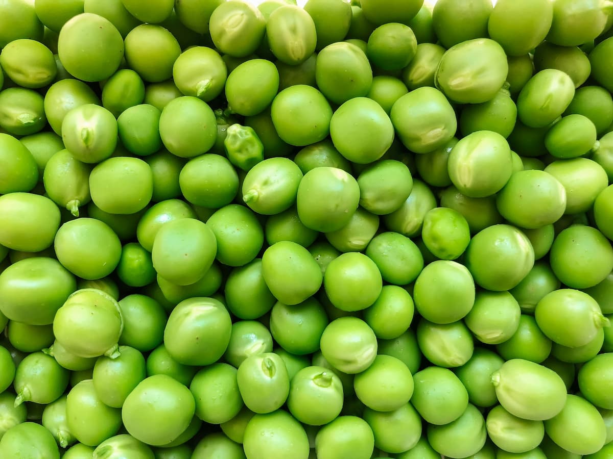 Pea