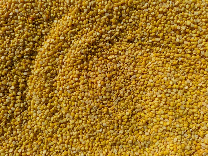 Chana Dal