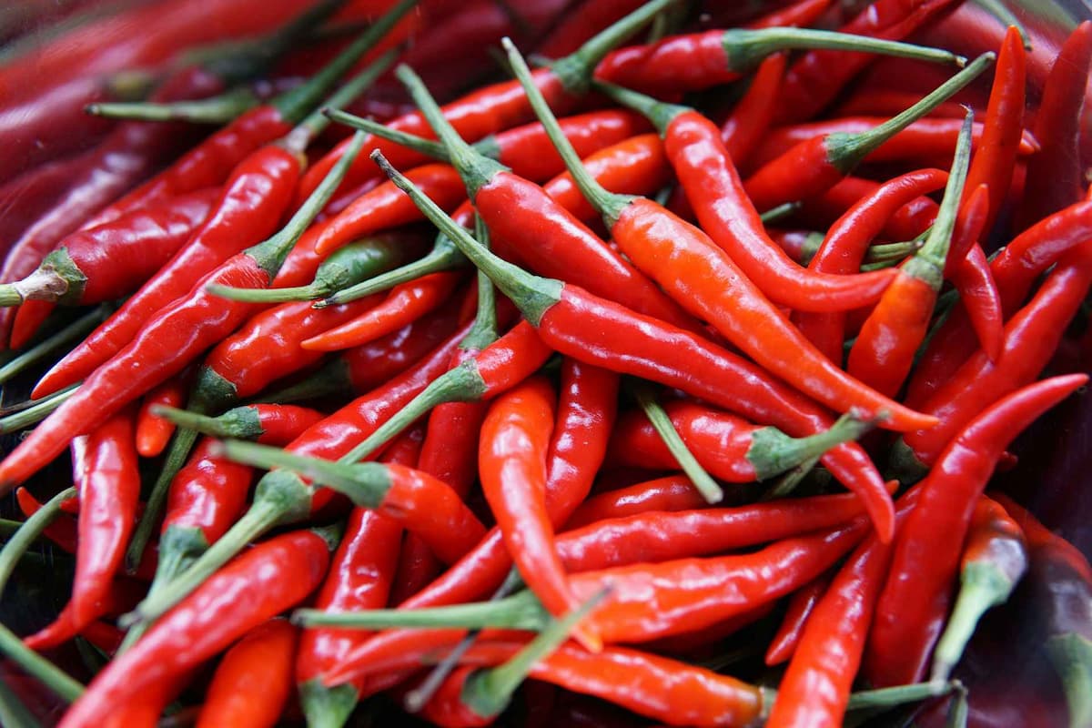 Chilli Pepper