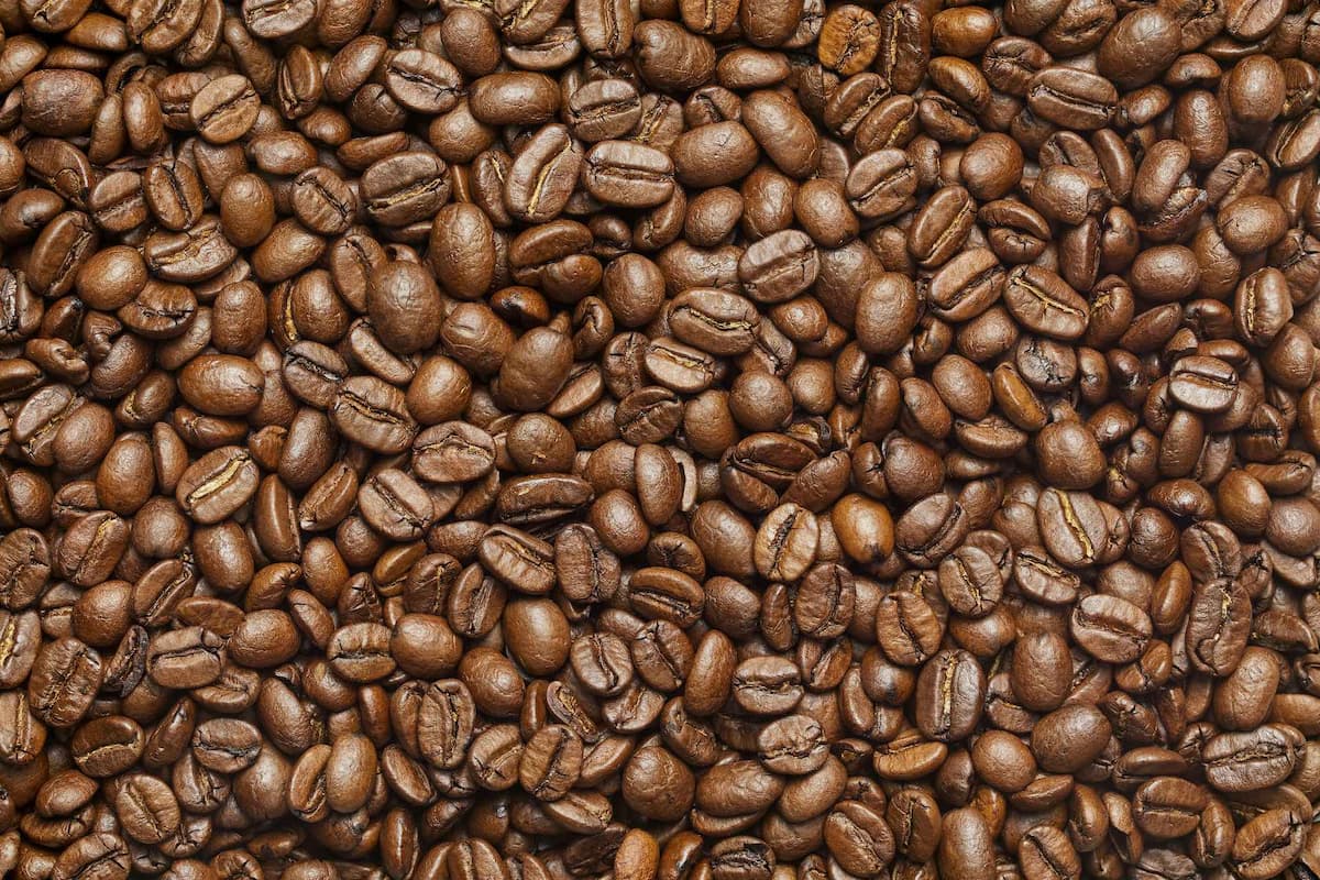 Coffee seeds