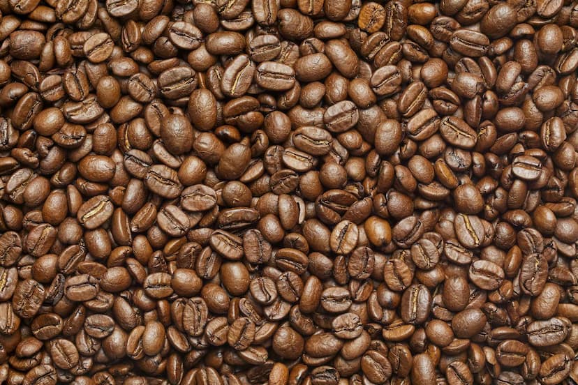 Coffee seeds