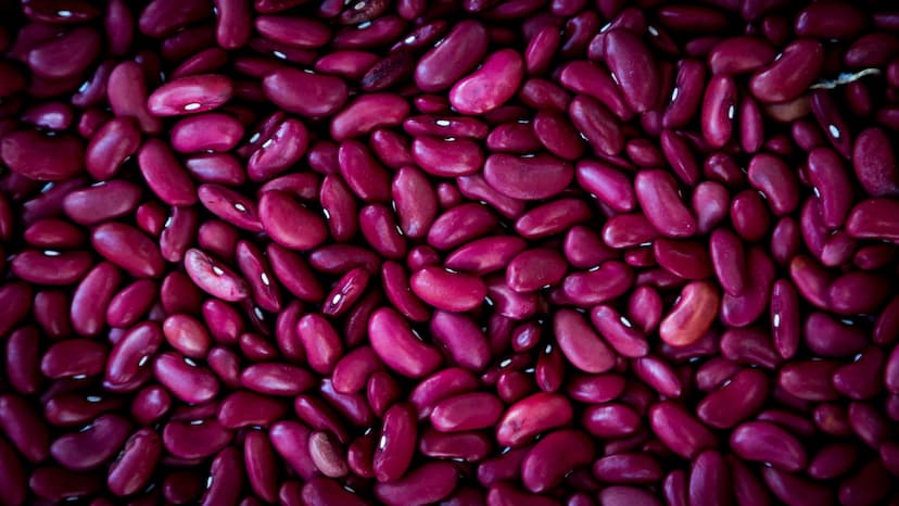 Kidney Beans