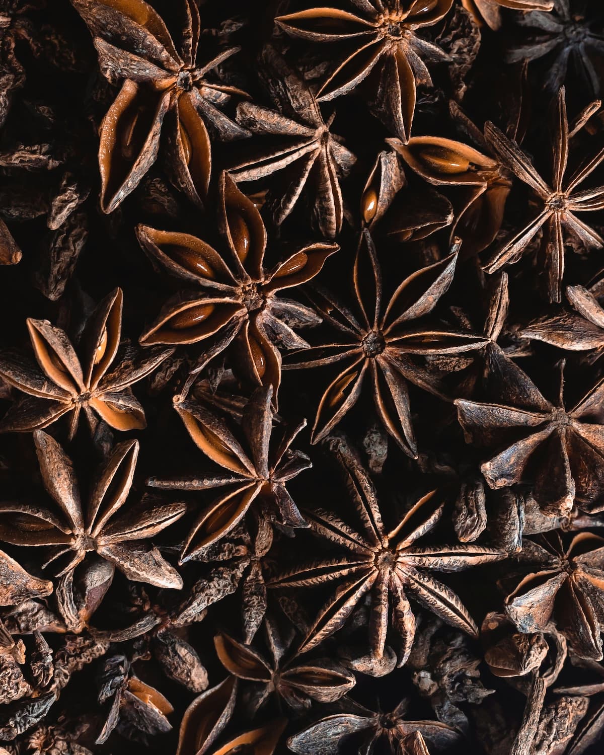 Star Anise